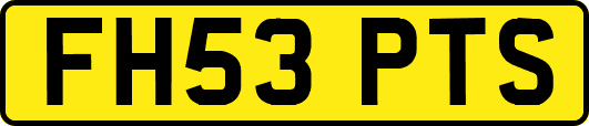 FH53PTS