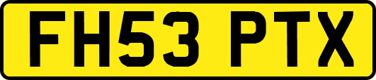 FH53PTX