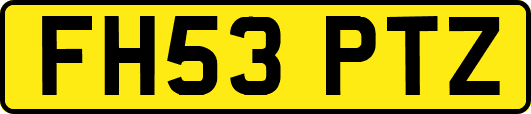 FH53PTZ