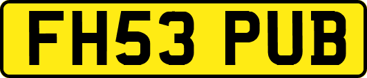 FH53PUB