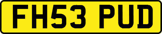 FH53PUD