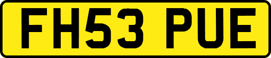 FH53PUE
