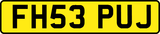 FH53PUJ