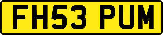 FH53PUM