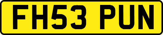 FH53PUN
