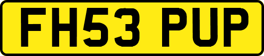 FH53PUP