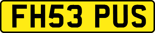 FH53PUS