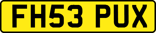 FH53PUX