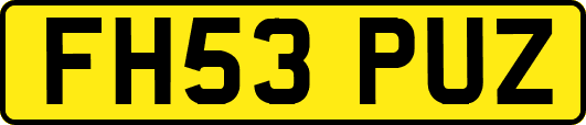 FH53PUZ