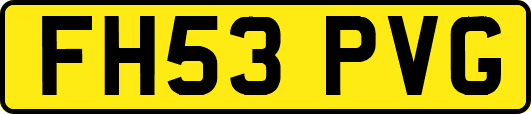 FH53PVG