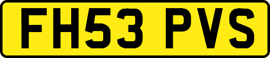FH53PVS