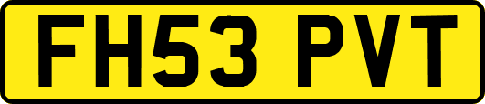 FH53PVT