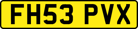 FH53PVX