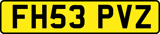 FH53PVZ