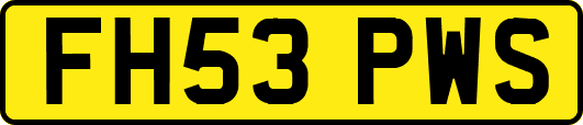 FH53PWS
