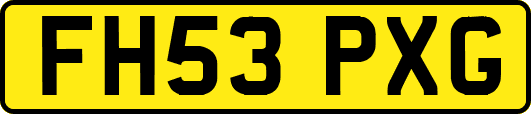 FH53PXG