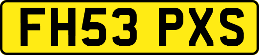 FH53PXS