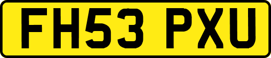 FH53PXU