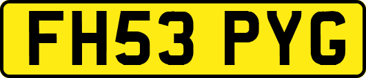FH53PYG