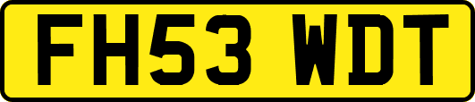 FH53WDT
