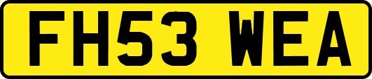 FH53WEA
