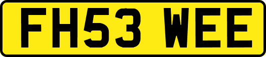 FH53WEE