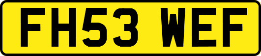 FH53WEF