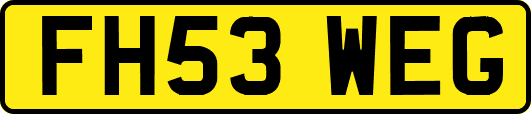 FH53WEG