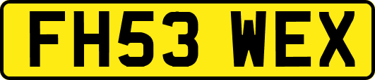 FH53WEX