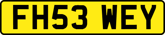 FH53WEY