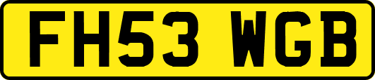 FH53WGB