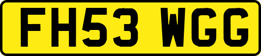 FH53WGG