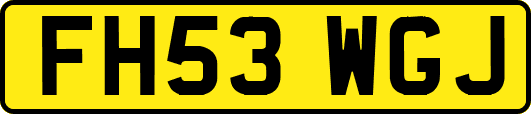 FH53WGJ