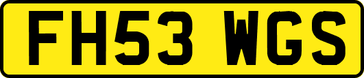 FH53WGS