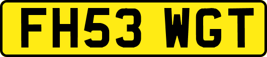 FH53WGT