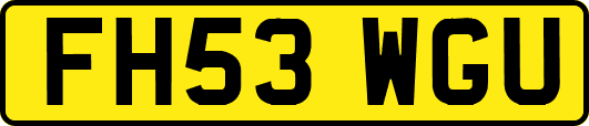 FH53WGU