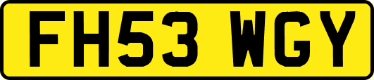 FH53WGY