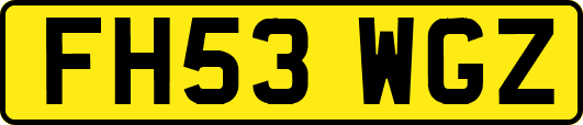 FH53WGZ