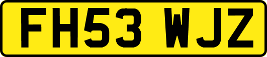 FH53WJZ