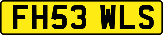 FH53WLS