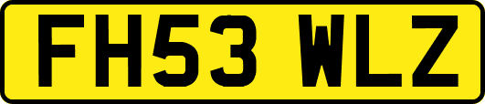 FH53WLZ