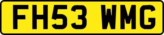 FH53WMG