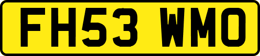 FH53WMO