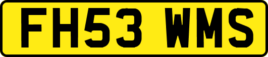 FH53WMS