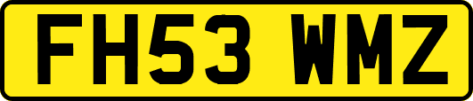 FH53WMZ