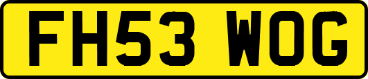 FH53WOG