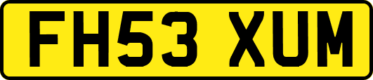 FH53XUM