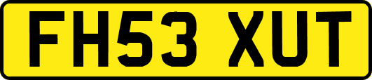 FH53XUT