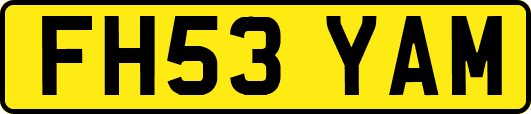 FH53YAM