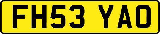 FH53YAO